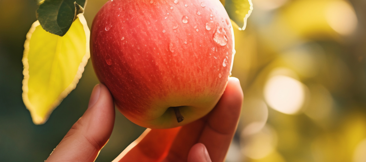 ZAHRADNICTVIÌ STUDENEC_10_FOTO VYÌRÌEZ