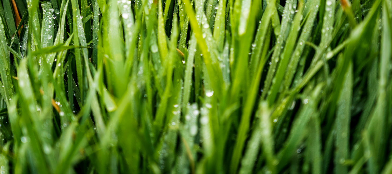 ZS 01_FOTO VYÌRÌEZ