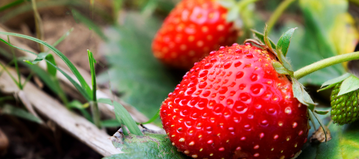 ZS_26-03_FOTO VYÌRÌEZ