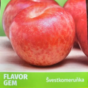 prunus-00006526-červen