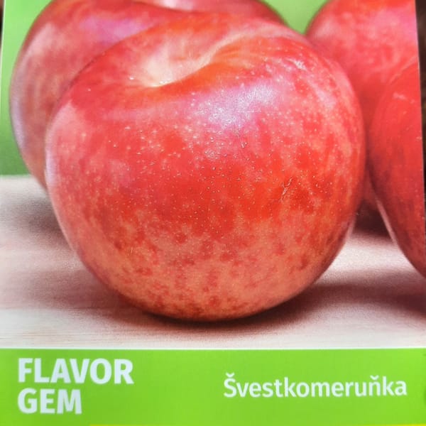 prunus-00006526-červen