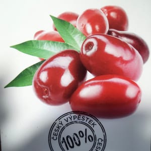 cornus-00007373-červen