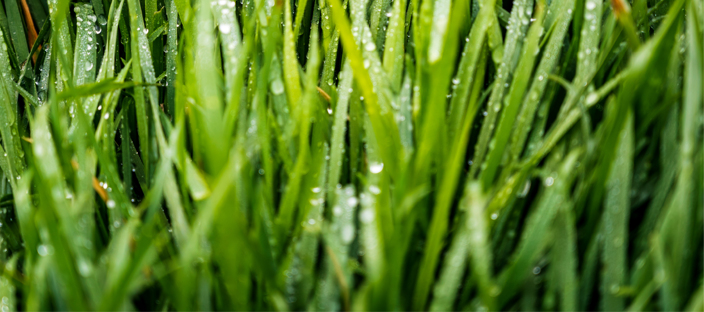 ZS 01_FOTO VYÌRÌEZ