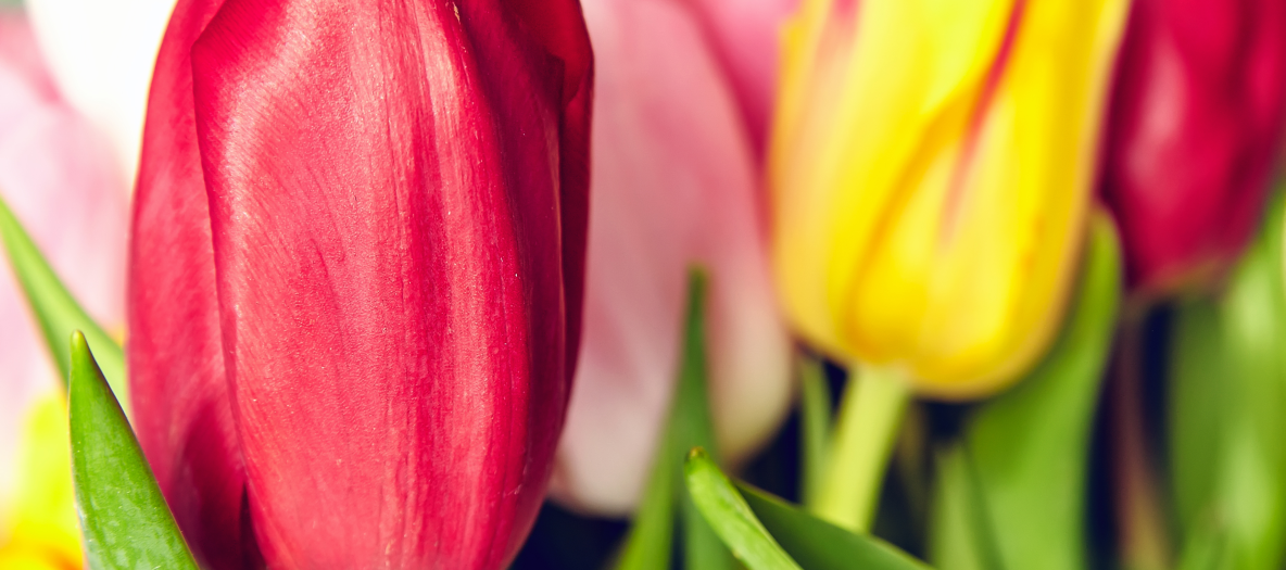 ZS_26-02_FOTO VYÌRÌEZ