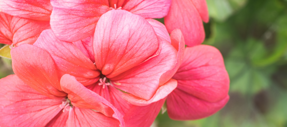 ZS_26-04_FOTO VYÌRÌEZ